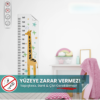 Boy Cetveli