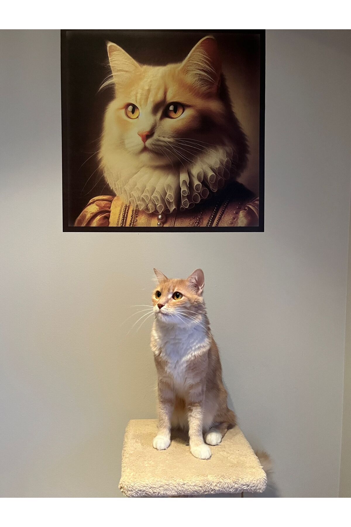 Kral Kedi Posteri - Yapay Zeka Tasarım Akıllı Kağıt Poster (50x50 cm) - Görsel 2