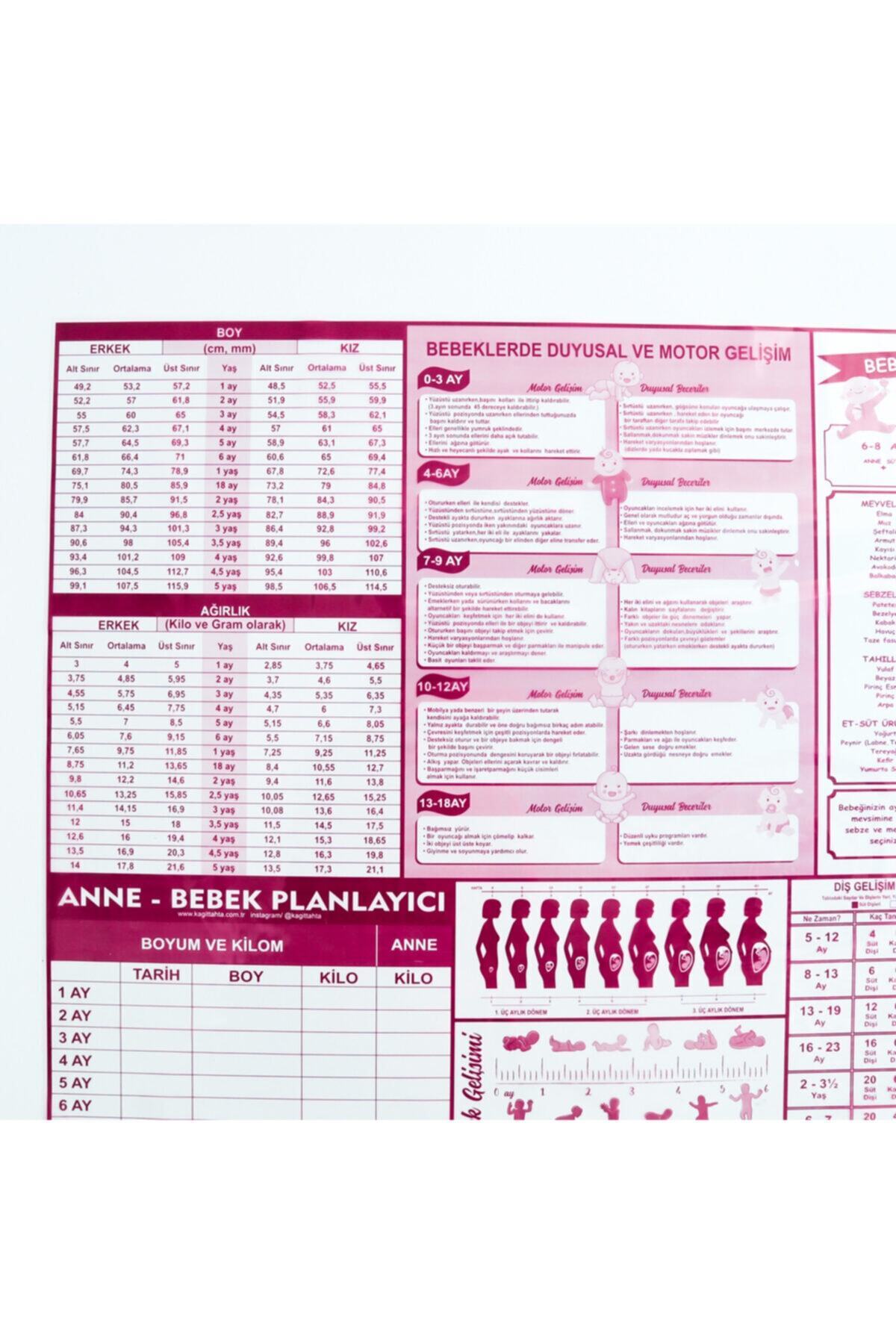Anne Bebek Gelişim Planlayıcı - Kendiliğinden Tutunan Yapışkansız Akıllı Kağıt Yazı Tahtası - Görsel 5