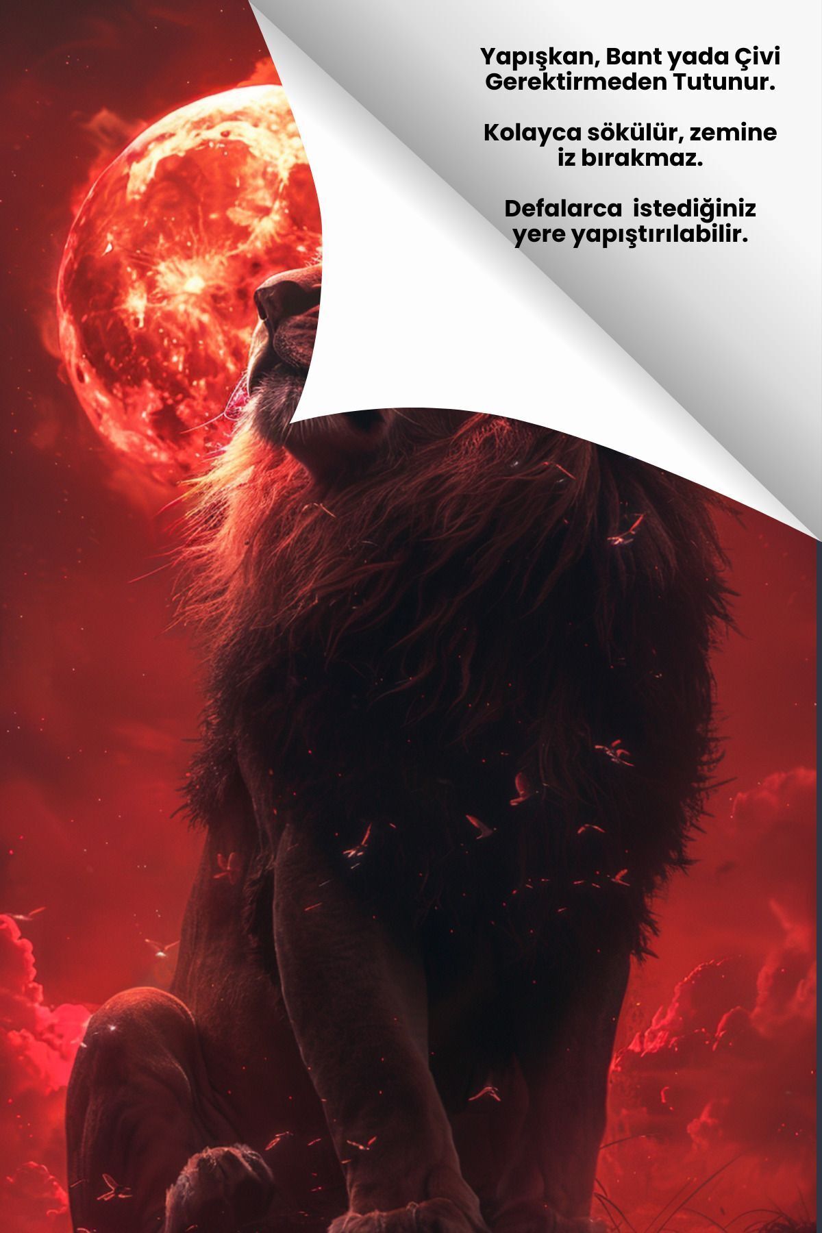 Aslan Şampiyonluk Posteri – Akıllı Kağıt Statik Yapışkanlı Taraftar Posteri (50x80 cm) - Görsel 2
