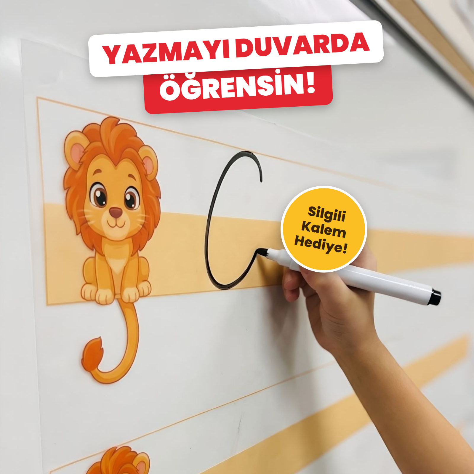 Aslanlı Kılavuz Çizgili Yaz-Sil Pano